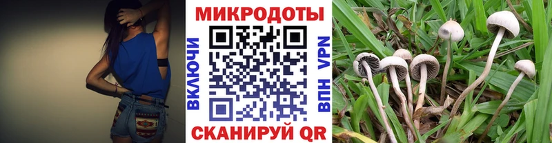 Галлюциногенные грибы Psilocybine cubensis  Купить  Мончегорск 
